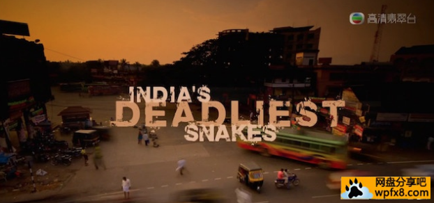 印度蛇.png