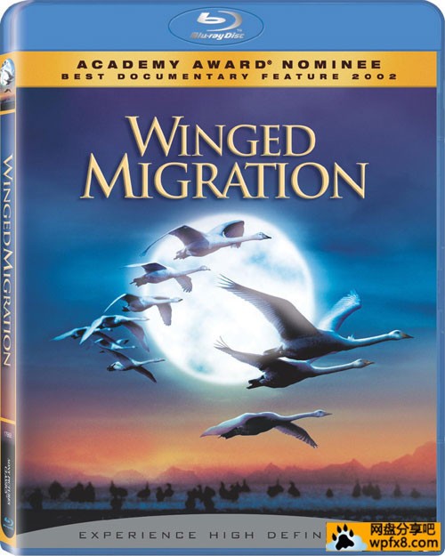 Winged.Migration.2001_鸟与梦飞行.jpg